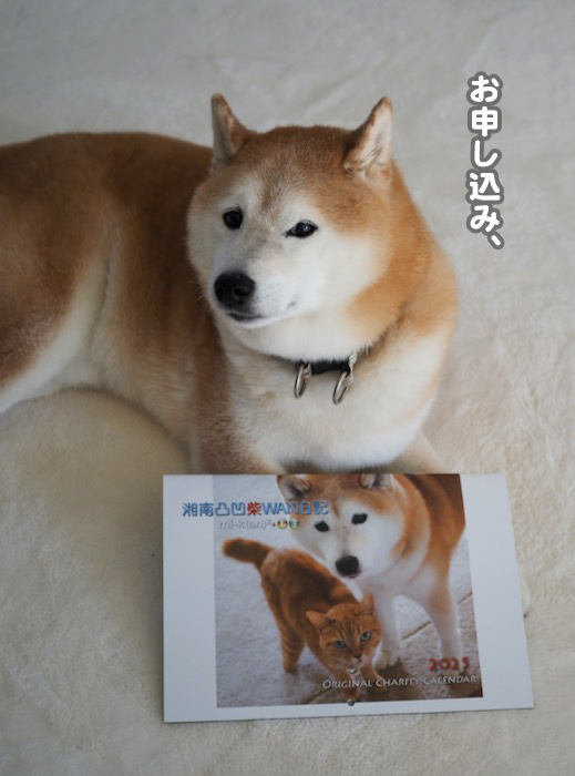 17日夕ブログ２
