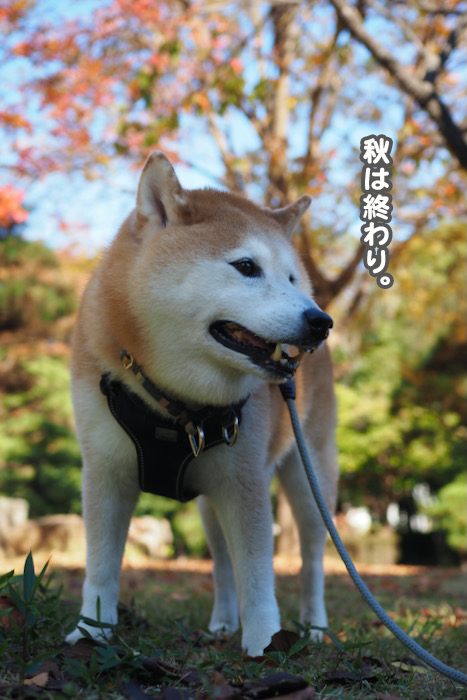 12日夕ブログ６