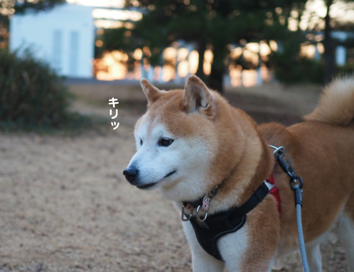 18日夕ブログ５