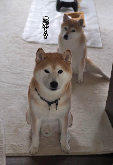 23日夜ブログ１