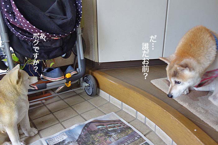 9日昼ブログ３