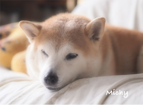 29日ブログ4.jpg
