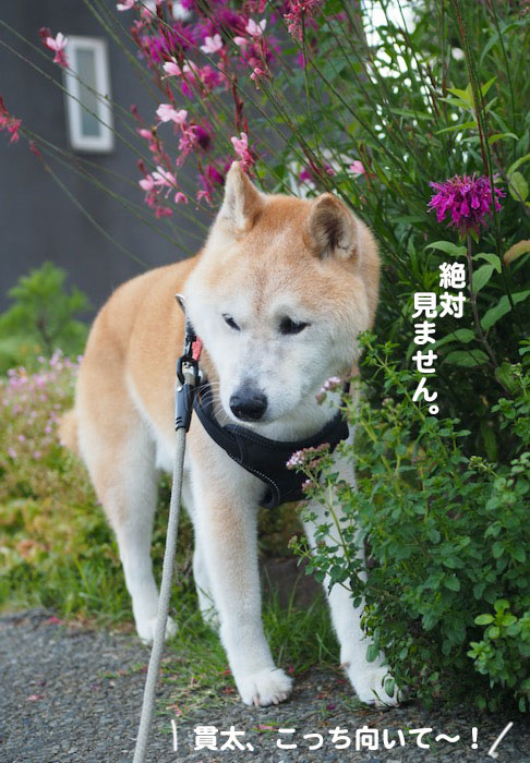 14日夕ブログ４
