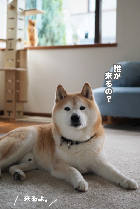 21日ブログ４