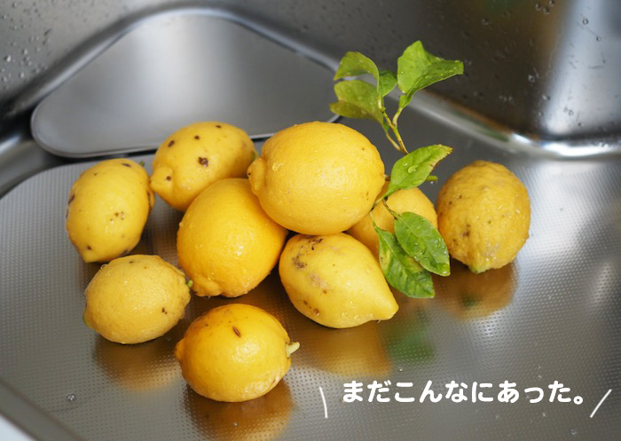 7日夕ブログ６