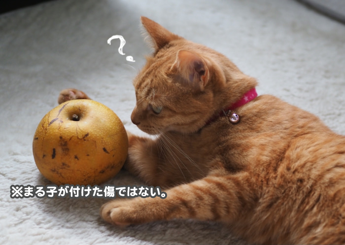 5日ブログ４
