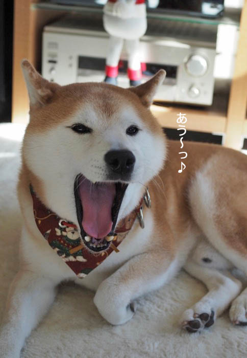 3日夕ブログ９
