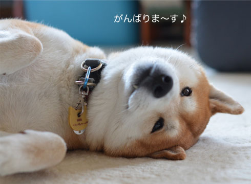 25日ブログ5.jpg