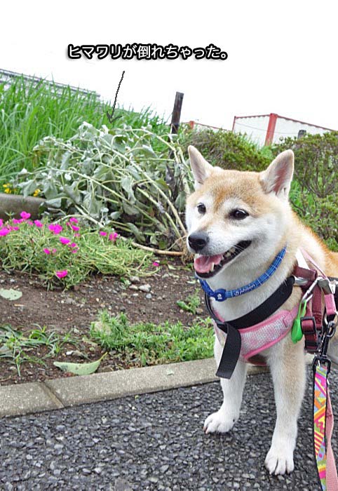 9日朝ブログ５