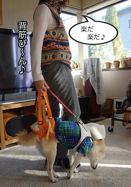 11日ブログ10