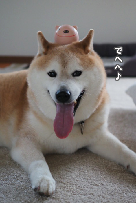 29日夕ブログ９