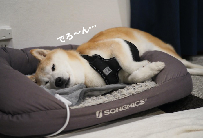 12日夕ブログ３