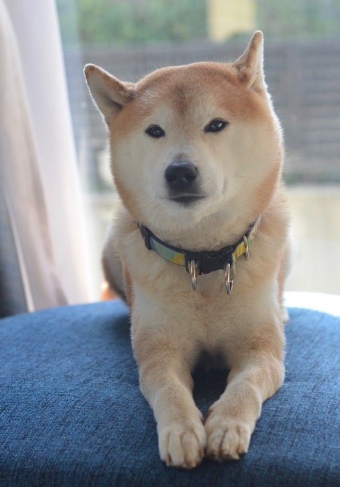 15日夜ブログ１１