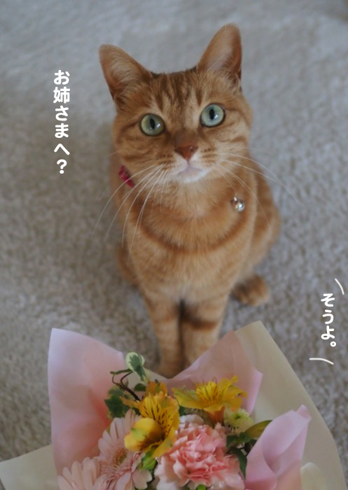 17日ブログ２