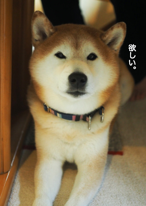29日夜ブログ６