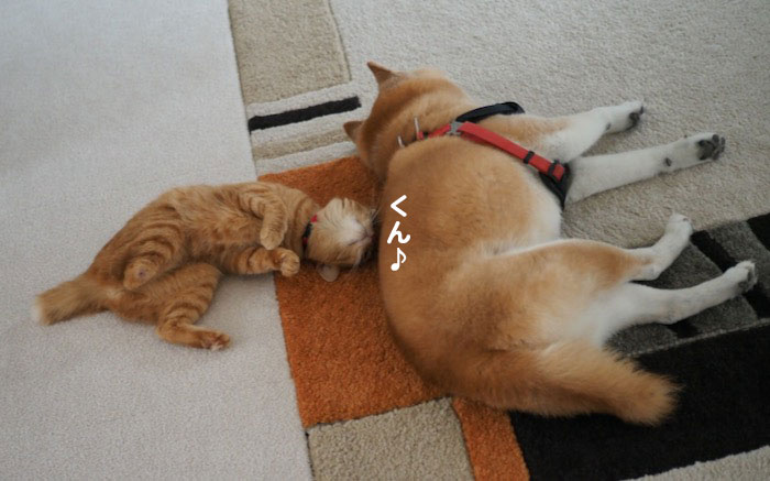 6日ブログ７