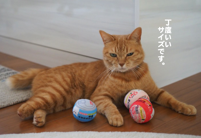 8日夕ブログ４