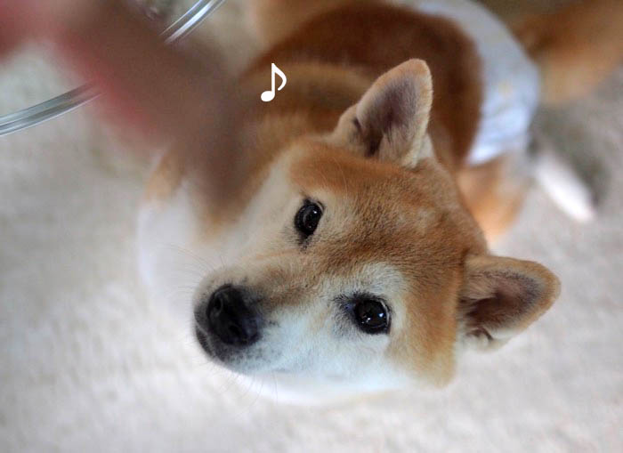 26日夕ブログ９