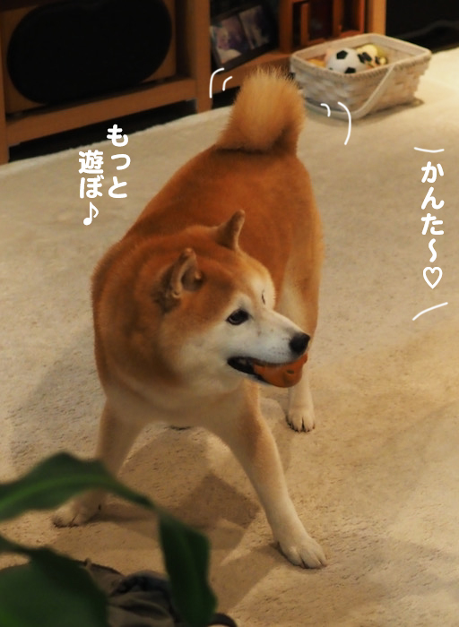 4日夜ブロ１６