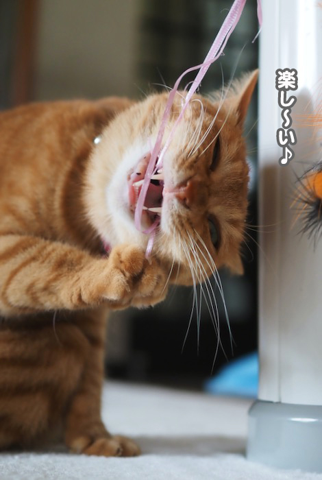 18日ブログ9