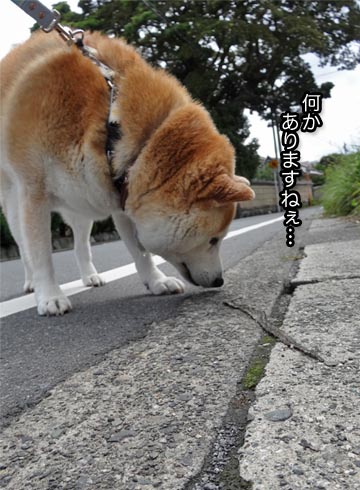 27日ブログ4.jpg