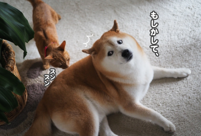 16日夜ブログ６