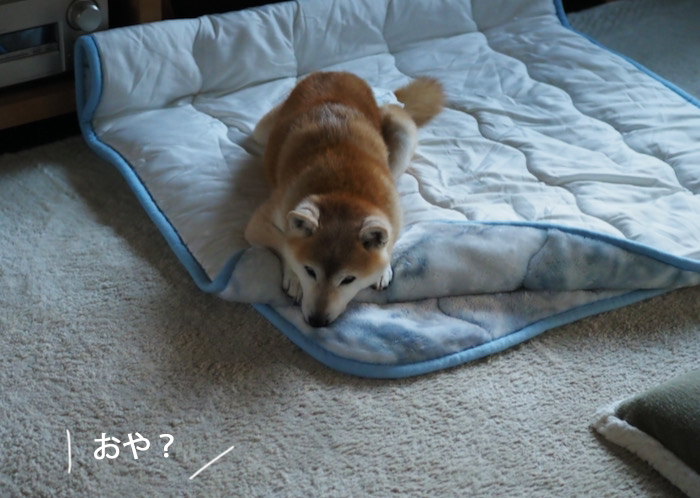 21日ブログ２