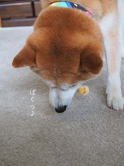 20日ブログ２１