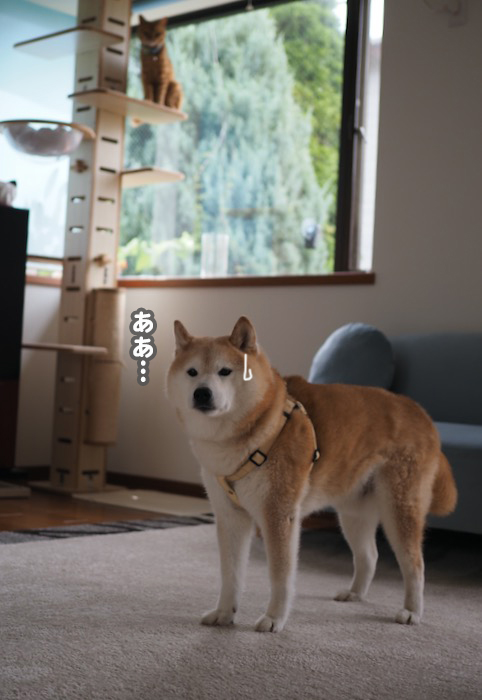 9日夕ブログ２