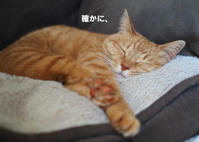 4日夕ブログ４