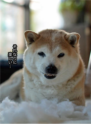 24日ブログ9.jpg