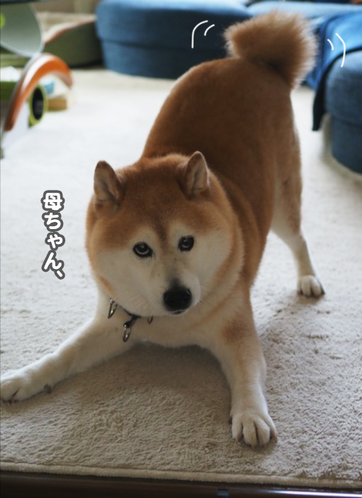 24日ブログ２