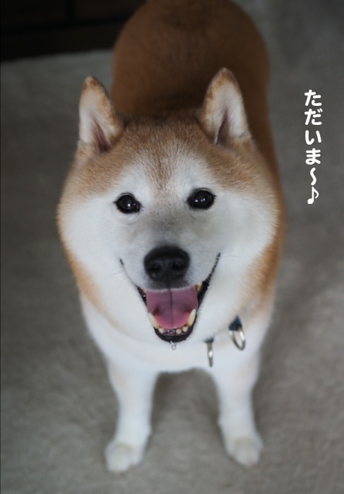 25日ブログ１