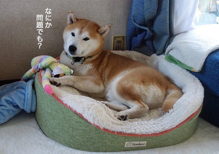 30日ブログ3