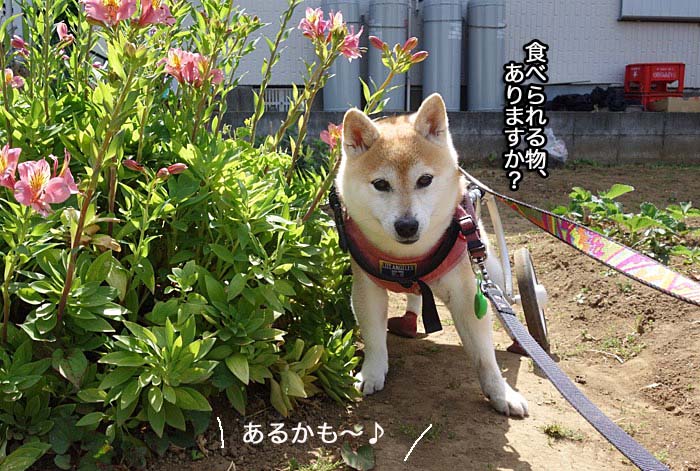 17日夜ブログ３
