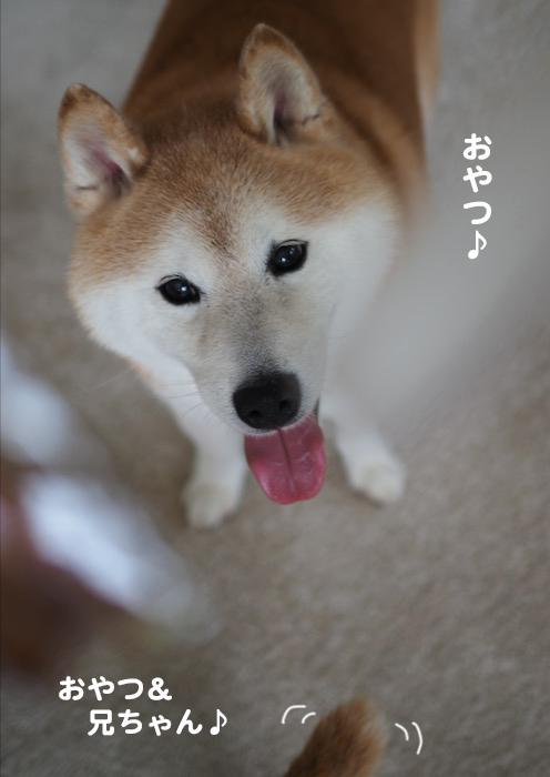 9日夕ブログ３