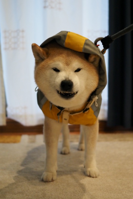 16日ブログ１