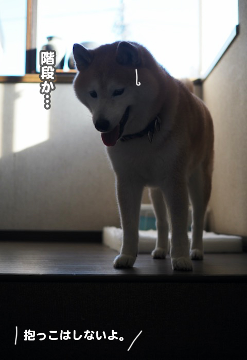 18日ブログ4