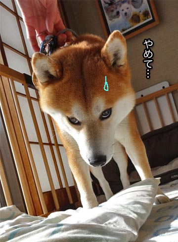 26日ブログ7.jpg