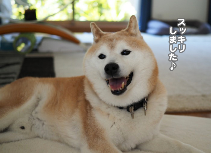 26日ブログ３