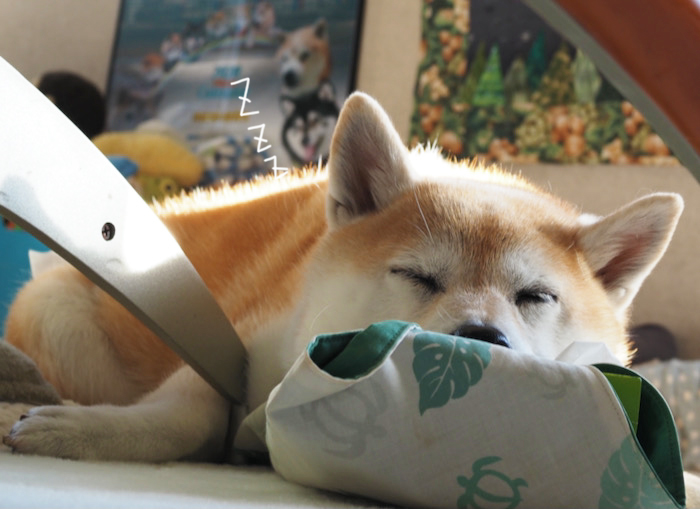 15日夕ブログ９