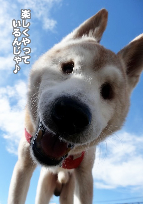 18日夕ブログ８