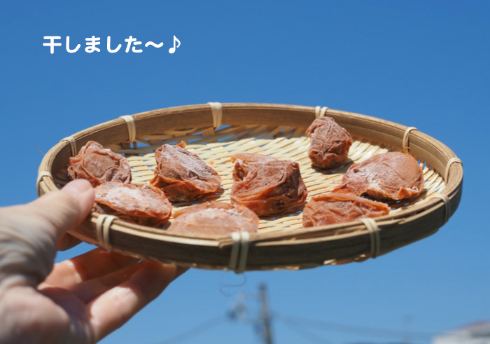 25日夕ブログ１２