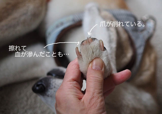 24日ブログ4