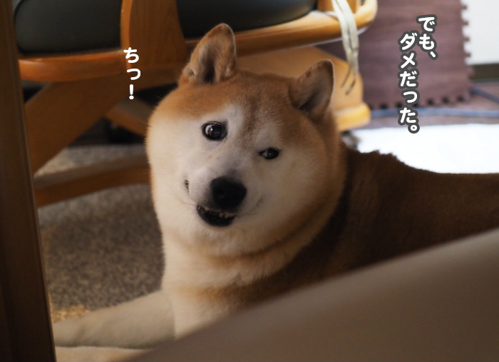 4日夜ブロ４