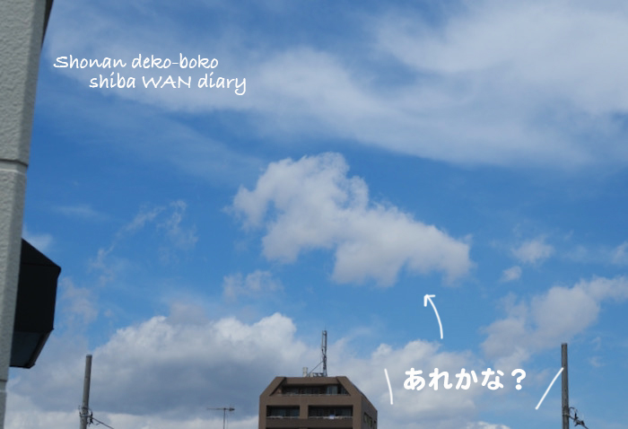 16日夕ブログ１