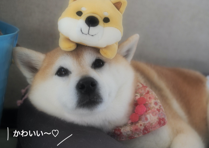 7日ブログ５