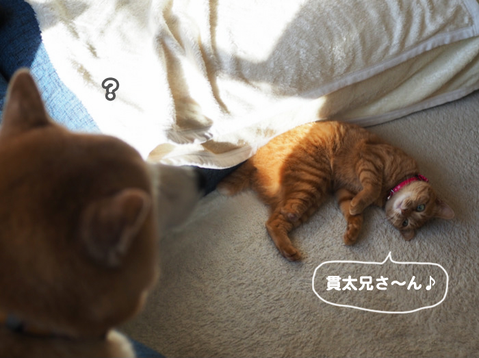 19日夕ブログ２
