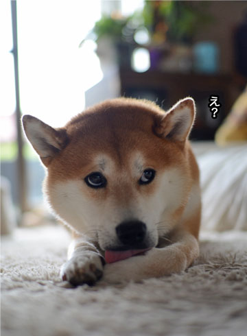 21日ブログ9.jpg