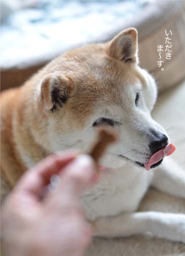 31日ブログ13.jpg
